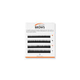 6LINE TRENDY BROWS - ST