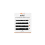 6LINE TRENDY BROWS - I - beautierlash