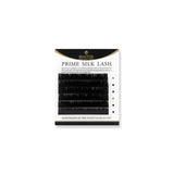 6LINE PRIME SILK LASH - beautierlash