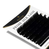 6LINE PRIME SILK LASH - beautierlash